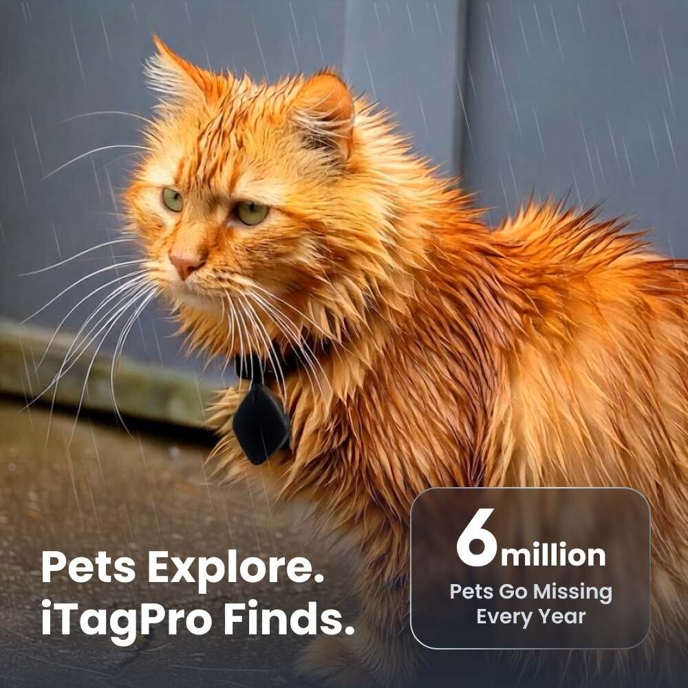 iTagPro image