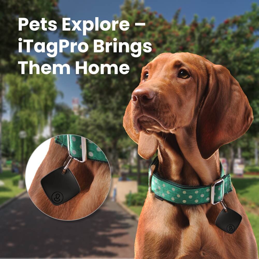 iTagPro image
